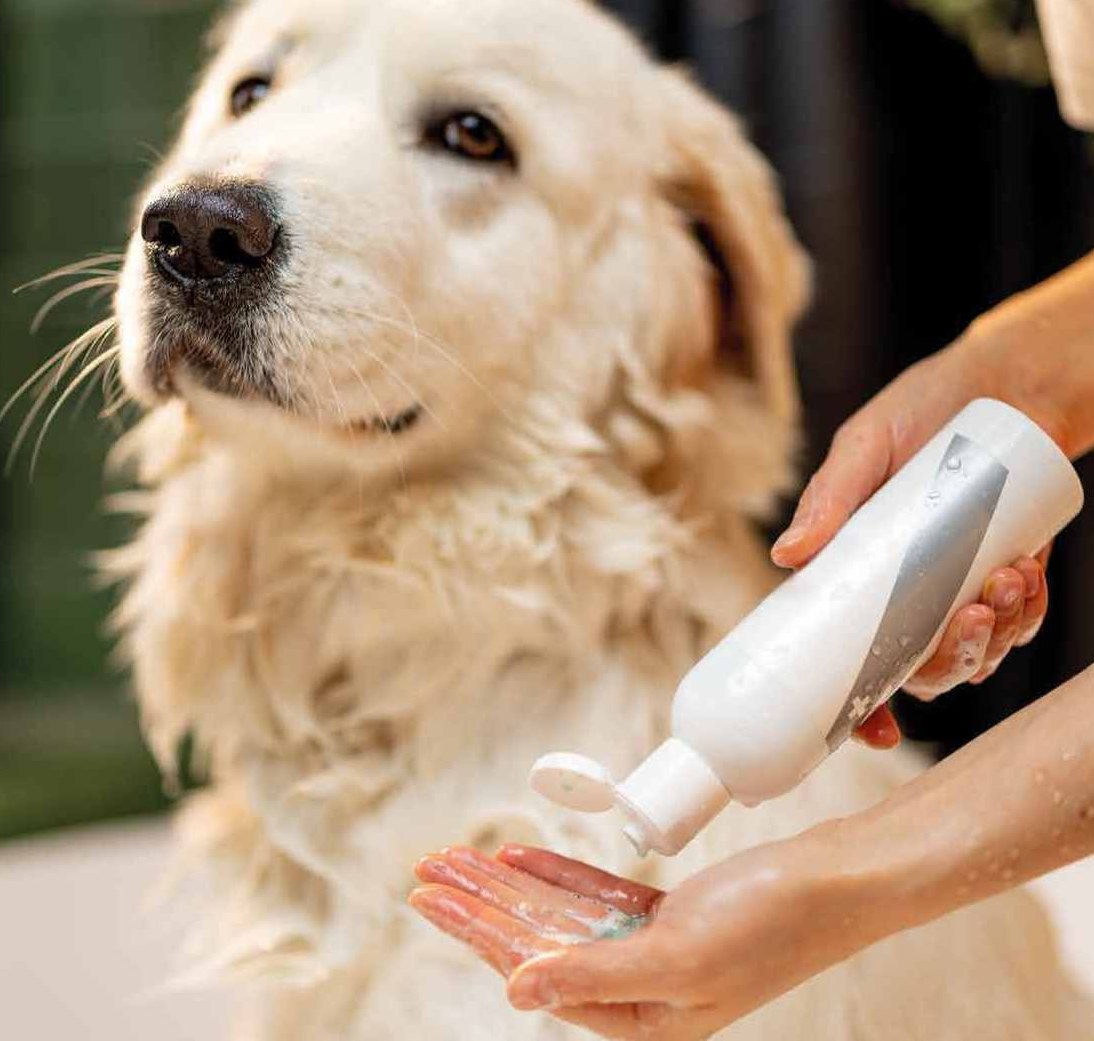 Pet Wash Station en Luxor 500 El Cangrejo